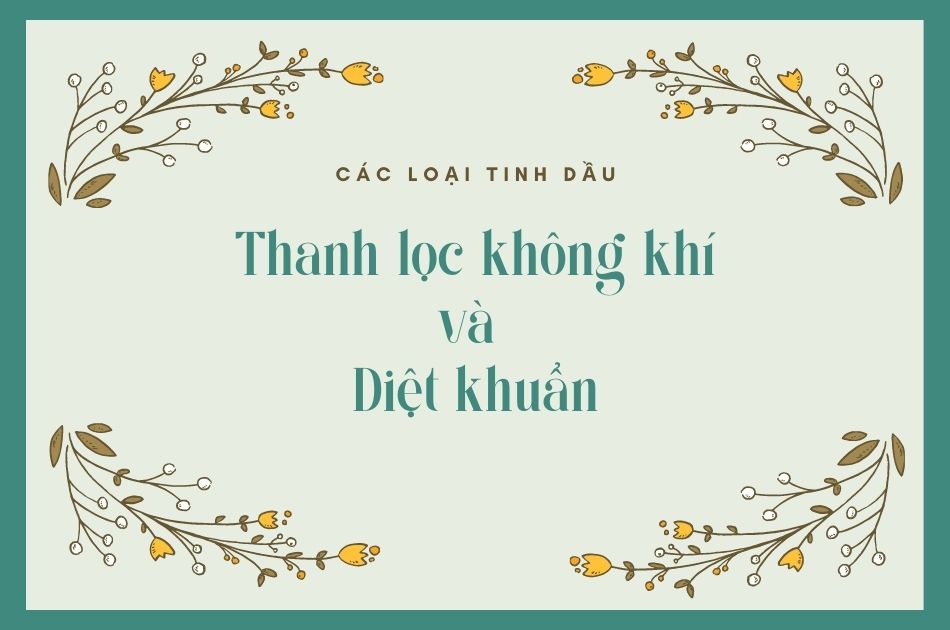 Các loại tinh dầu thanh lộc không khí và diệt khuẩn