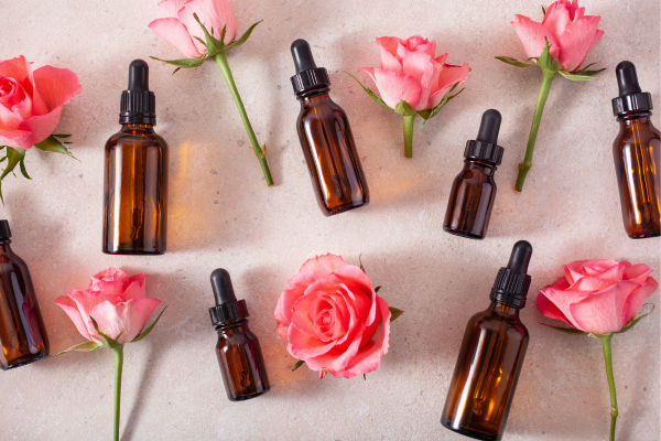 How to make rose essential oil 1