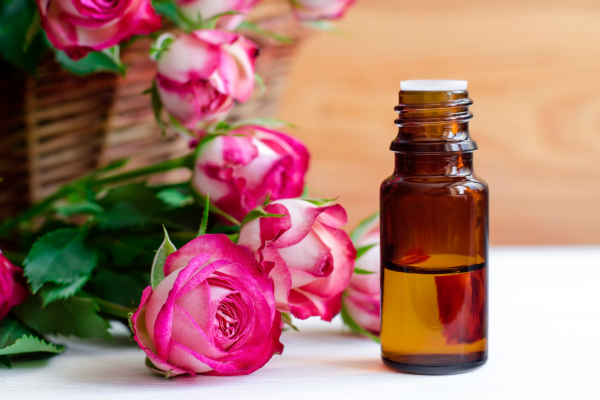 How to make rose essential oil 2