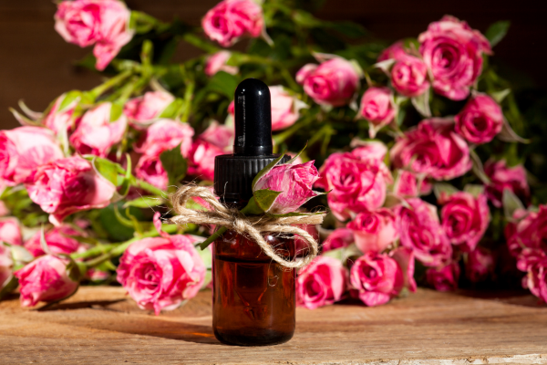 How to make rose essential oil 5