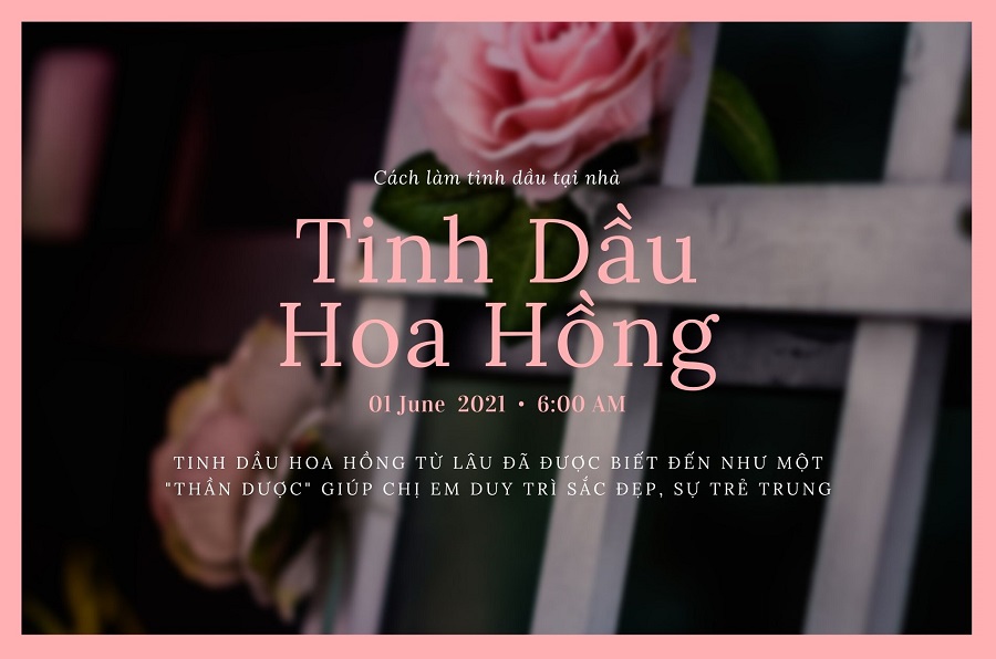 Cách làm tinh dầu hoa hồng