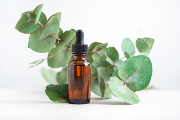 Uses of Eucalyptus essential oil 3