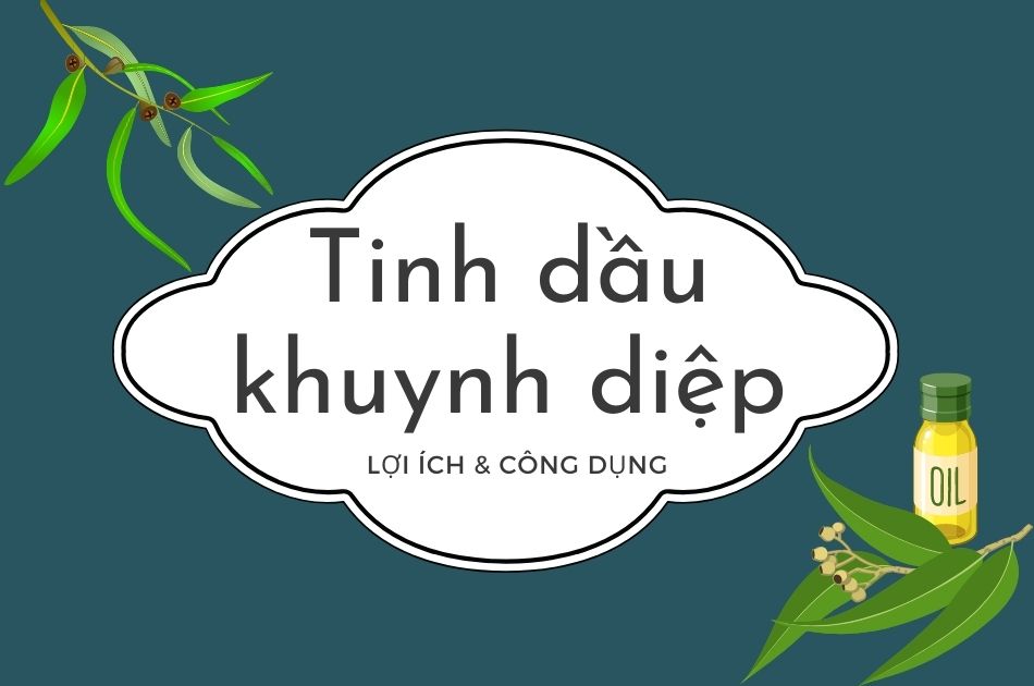 Lợi ích tinh dầu khuynh diệp