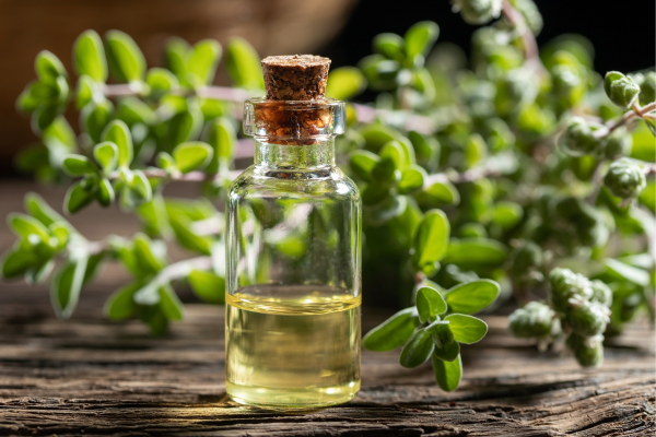 Marjoram Natural Essential Oil